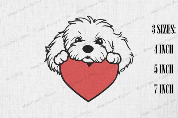 Cute Havanese Dog Peeking from Heart Review