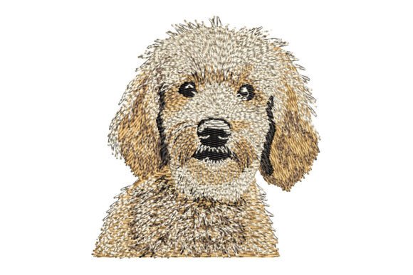 Goldendoodle Embroidery: A Designer’s Real-World Review